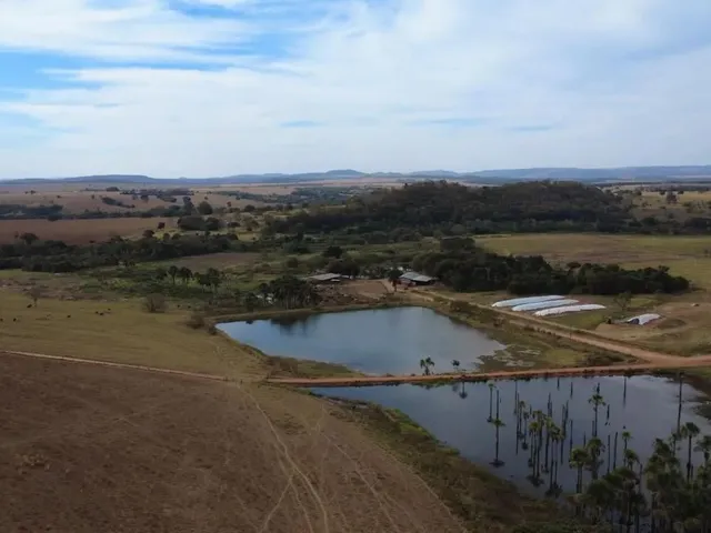 Imagem: Fazenda 67 Alqueires - Lavoura!