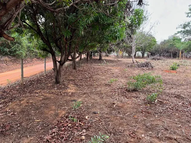 Imagem 3: Chácara com 4.850 Metros Próximo do Centro de Caldas 90% Murada