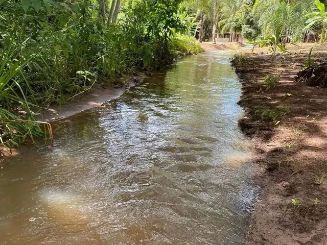 Imagem 5: Fazenda em Cristianópolis - 12 Alqueires