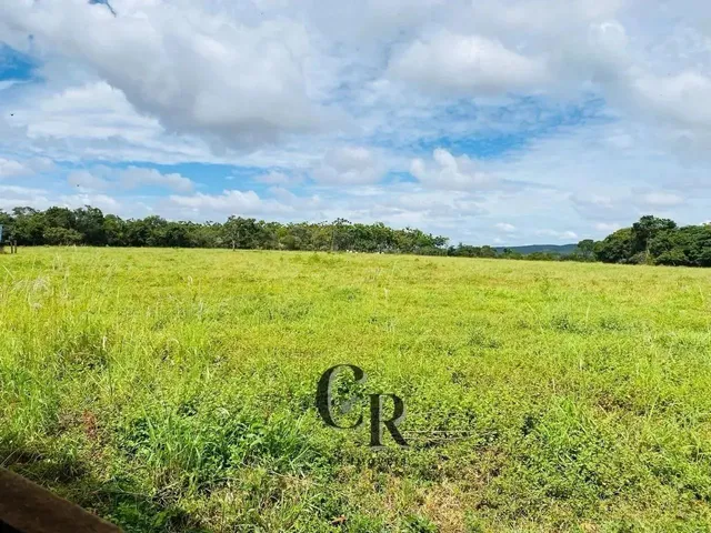 Imagem 12: Fazenda em Cristianópolis - 12 Alqueires