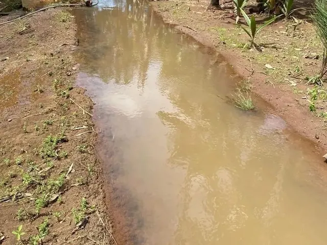 Imagem 15: Fazenda em Cristianópolis - 12 Alqueires