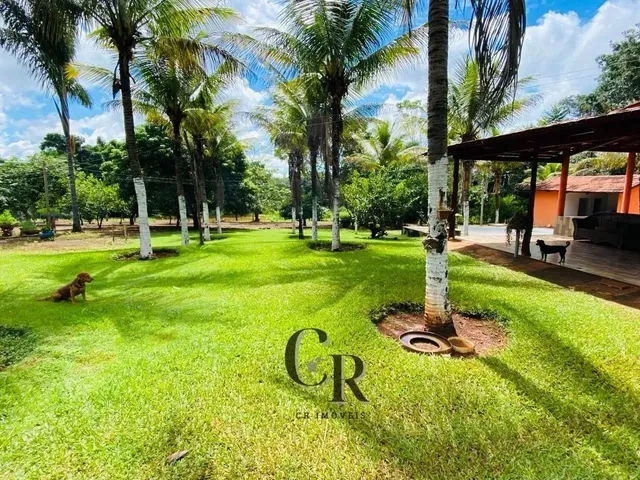 Imagem 2: Fazenda em Cristianópolis - 12 Alqueires