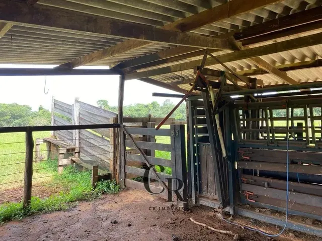 Imagem 6: Fazenda em Cristianópolis - 12 Alqueires