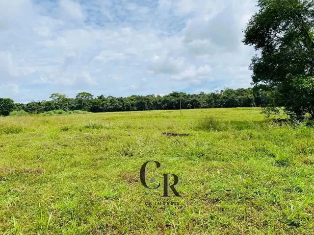 Imagem 3: Fazenda em Cristianópolis - 12 Alqueires