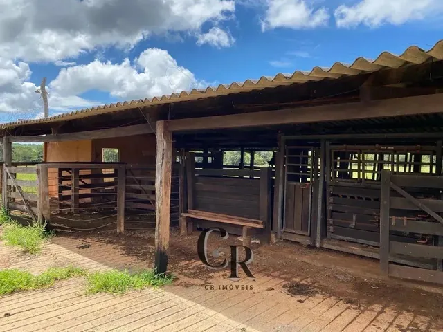 Imagem 10: Fazenda em Cristianópolis - 12 Alqueires
