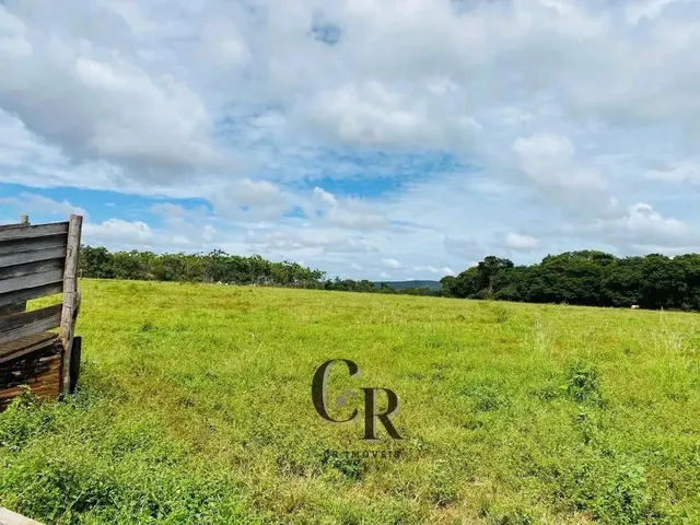Imagem 4: Fazenda em Cristianópolis - 12 Alqueires