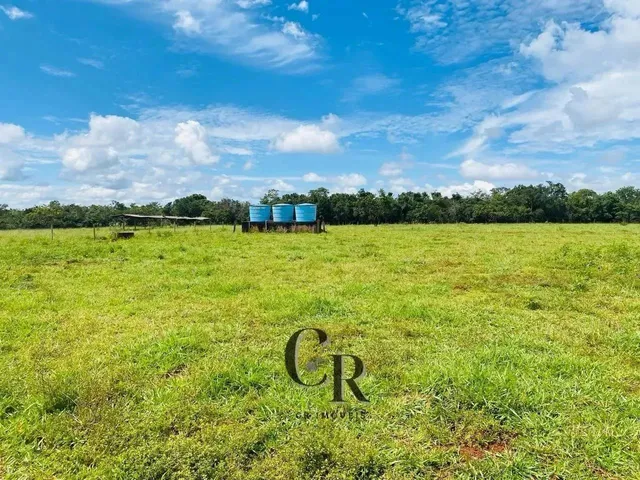 Imagem 13: Fazenda em Cristianópolis - 12 Alqueires