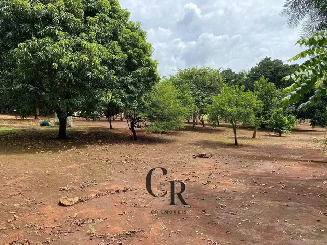 Imagem 16: Fazenda em Cristianópolis - 12 Alqueires