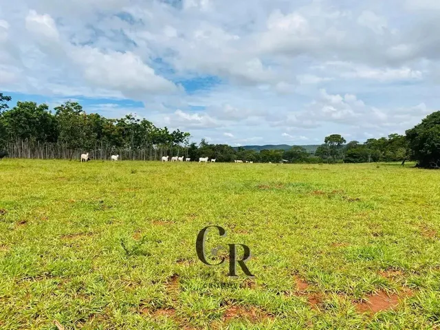Imagem 8: Fazenda em Cristianópolis - 12 Alqueires