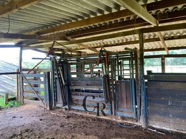 Imagem 9: Fazenda em Cristianópolis - 12 Alqueires