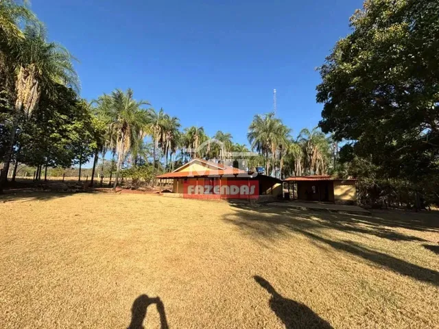 Imagem: Chacara 5 Alqueires (24,2 Hectares) Piracanjuba