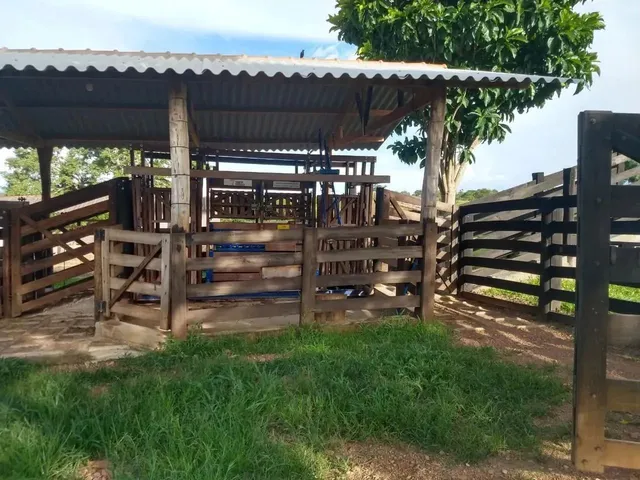 Imagem: Fazenda a Venda em Ipameri - Goiás!!!