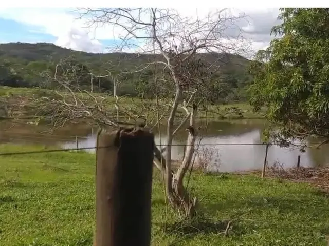 Imagem 8: Fazenda a Venda em Ipameri - Goiás!!!
