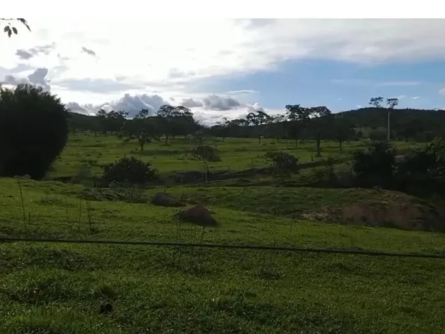 Imagem 3: Fazenda a Venda em Ipameri - Goiás!!!