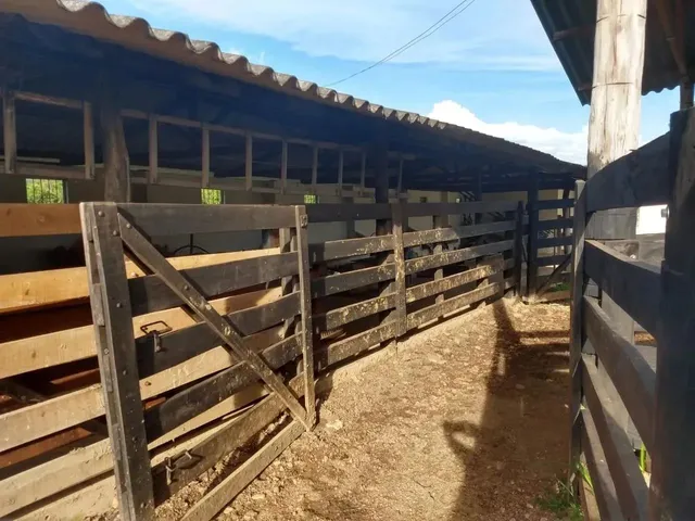 Imagem 6: Fazenda a Venda em Ipameri - Goiás!!!