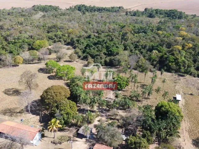 Imagem: Fazenda 17.3 Alqueires (83,72 Hectares )