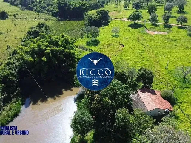 Imagem: Fazenda À Venda em Cezarina 20 Alqueires