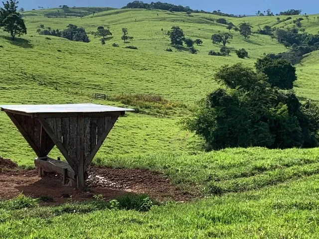 Imagem: Fazenda a Venda em Ipameri Goiás!!!