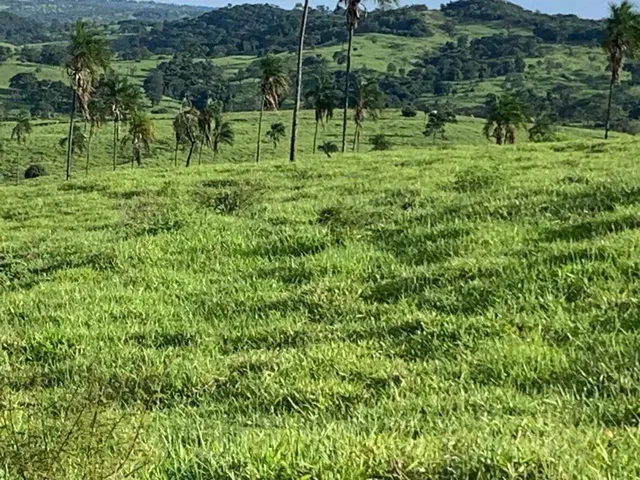 Imagem 3: Fazenda a Venda em Ipameri Goiás!!!