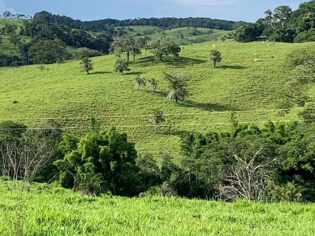 Imagem 6: Fazenda a Venda em Ipameri Goiás!!!