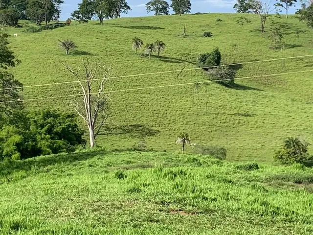 Imagem 2: Fazenda a Venda em Ipameri Goiás!!!