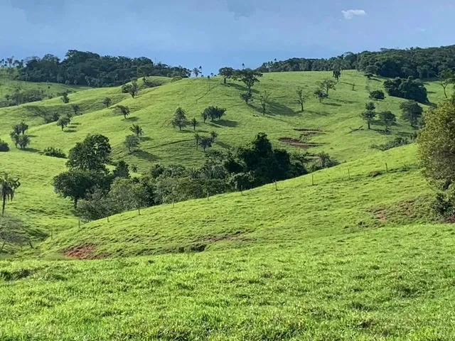 Imagem 5: Fazenda a Venda em Ipameri Goiás!!!
