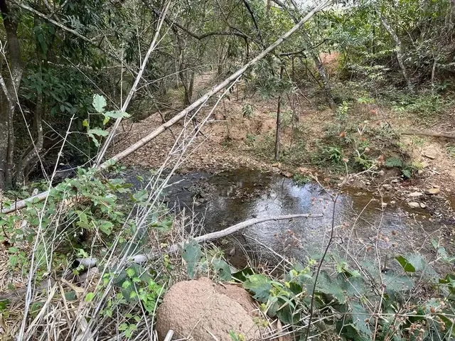 Imagem 5: Fazenda a Venda em Ipameri - Goiás!!!