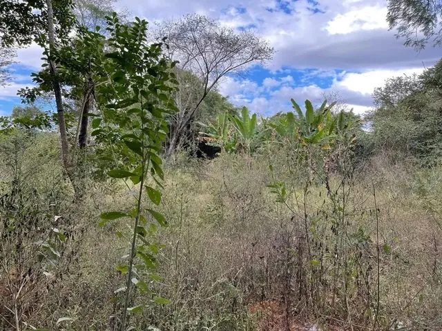 Imagem 4: Fazenda a Venda em Ipameri - Goiás!!!