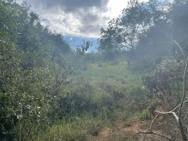 Imagem 11: Fazenda a Venda em Ipameri - Goiás!!!