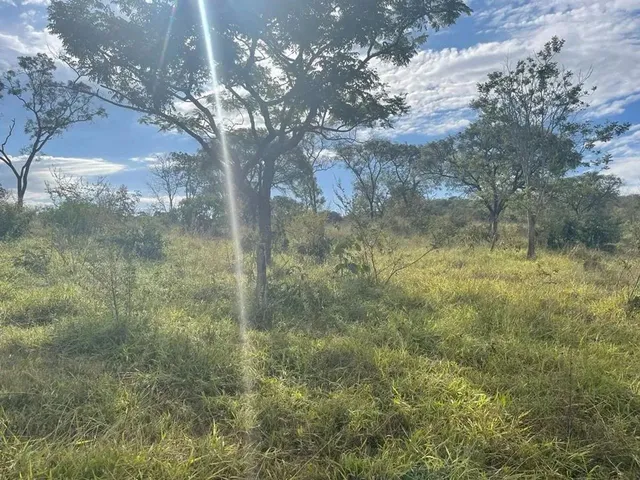 Imagem 2: Fazenda a Venda em Ipameri - Goiás!!!