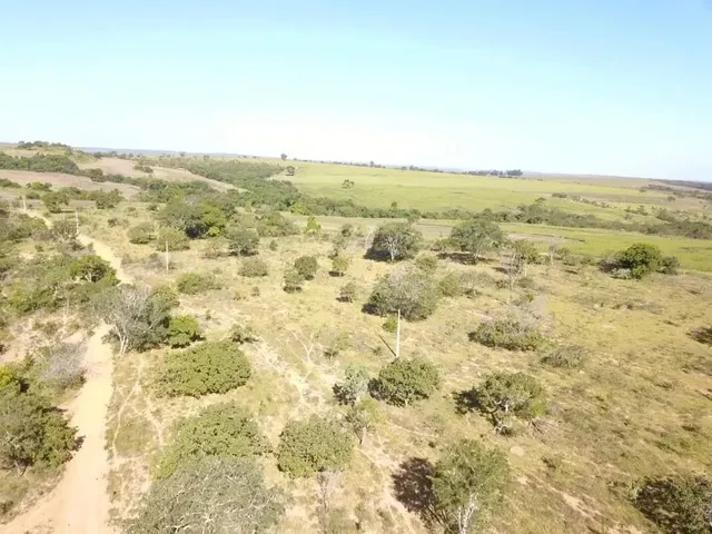 Imagem 10: Fazenda a Venda em Ipameri - Goiás!!!