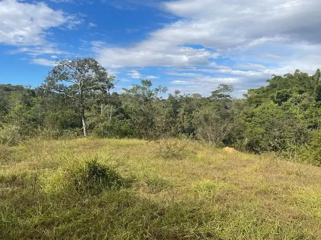 Imagem 13: Fazenda a Venda em Ipameri - Goiás!!!