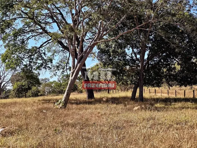 Imagem: Fazenda 86 Alqueires (416 Hectares) Mairipotaba