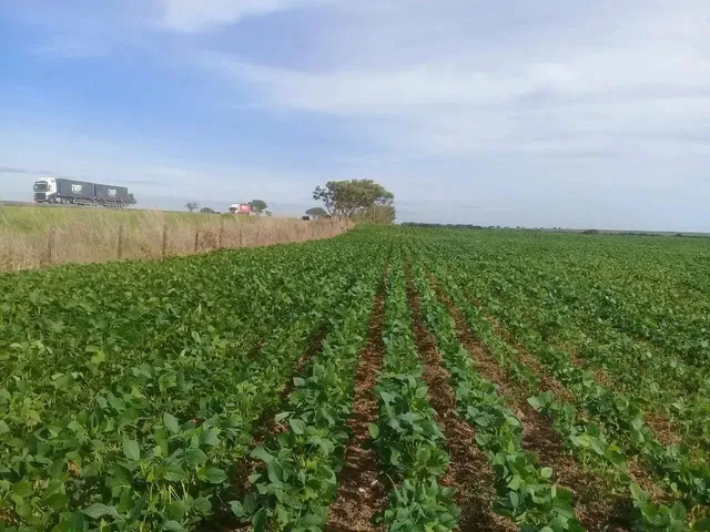 Imagem: Fazenda a Venda em Campo Alegre de Goiás!!