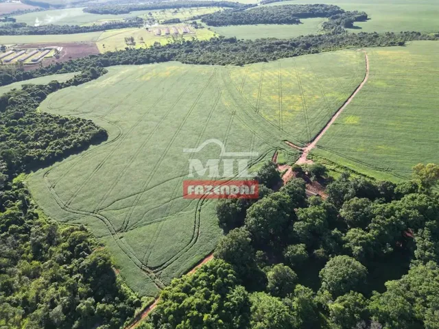 Imagem: A fazenda possui 500m² de Área e está localizado em