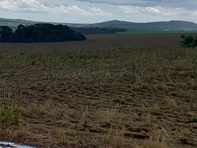 Imagem: Fazenda a Venda em Ipameri - Goiás!!!
