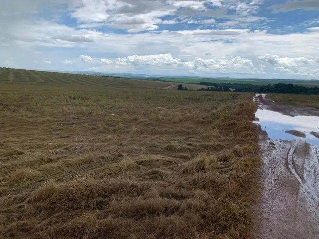 Imagem 5: Fazenda a Venda em Ipameri - Goiás!!!