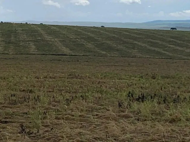 Imagem 4: Fazenda a Venda em Ipameri - Goiás!!!