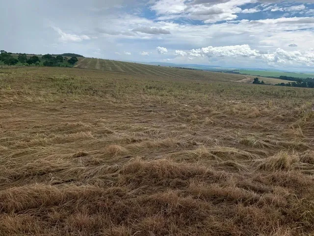 Imagem 3: Fazenda a Venda em Ipameri - Goiás!!!