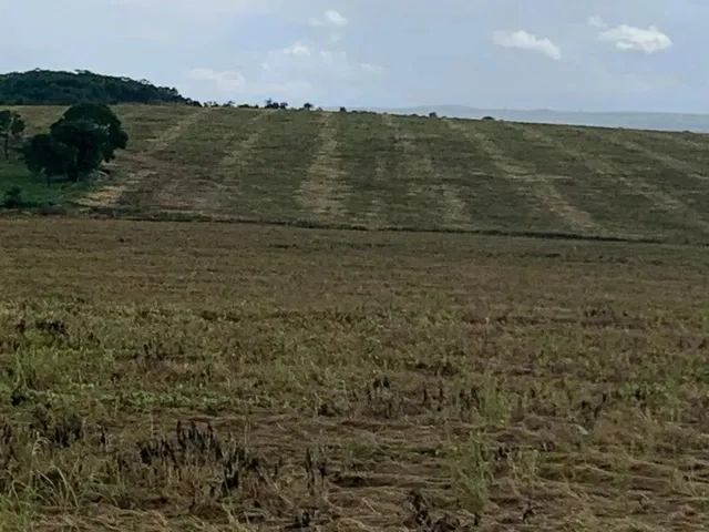 Imagem 2: Fazenda a Venda em Ipameri - Goiás!!!
