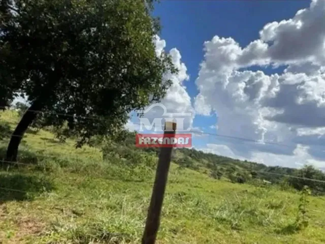 Imagem: A fazenda possui 500m² de Área e está localizado em
