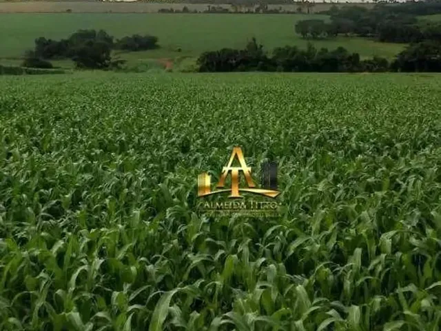 Imagem: Fazenda À Venda - Zona Rural - Cristianópolis/Go