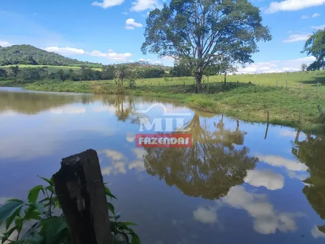 Imagem: Fazenda 110 Alqueires (532,4Hac) Anicuns