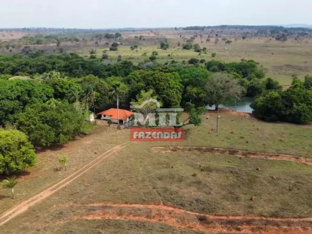 Imagem: Fazenda 58 Alqueires (280,7 Hectares) Itarumã
