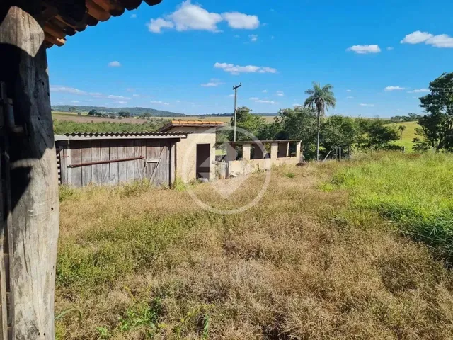 Imagem 7: Professor Jamil - Chácara com Represa de Peixes e Córrego no Fundo Codigo: 114254