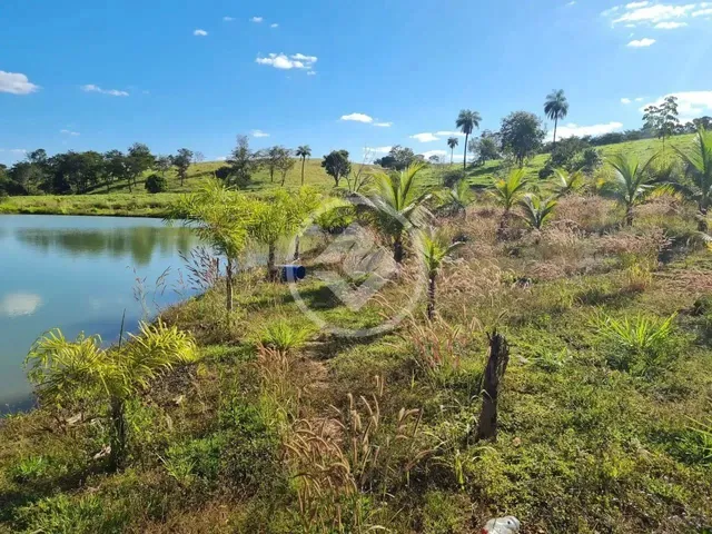Imagem 12: Professor Jamil - Chácara com Represa de Peixes e Córrego no Fundo Codigo: 114254