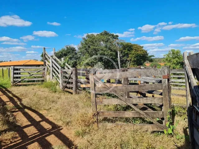 Imagem 11: Professor Jamil - Chácara com Represa de Peixes e Córrego no Fundo Codigo: 114254