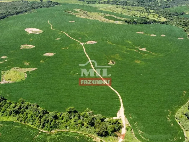 Imagem 3: Fazenda 33,5 Alqueires (161 Hectares) Ipameri - Go