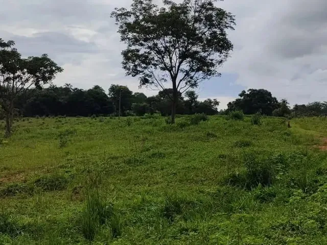 Imagem: Chácara Cezarina