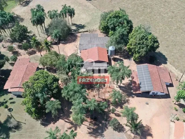 Imagem: Fazenda 14.5 Alqueires (70.17 Hectares)
